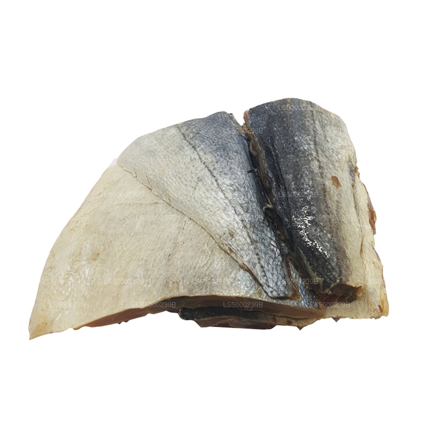 Lakpura getrockneter Katta (Queenfish) 200 g, gesalzener Trockenfisch (Karawala)