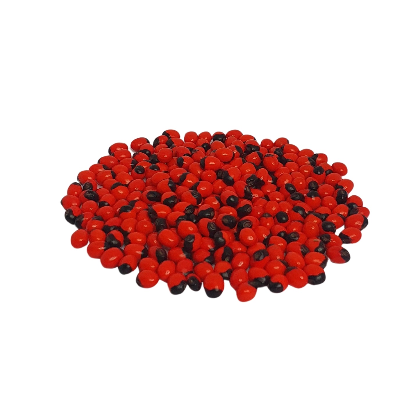 Lakpura® Samen von Olinda (marokkanischer Abrus)