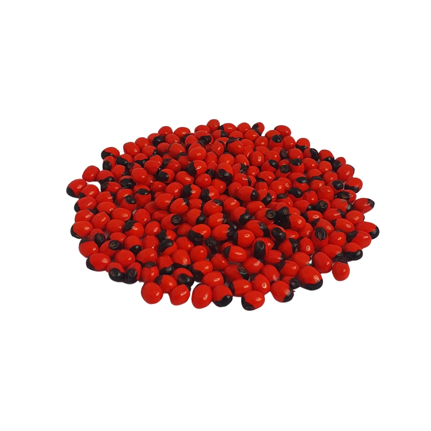 Lakpura® Samen von Olinda (marokkanischer Abrus)