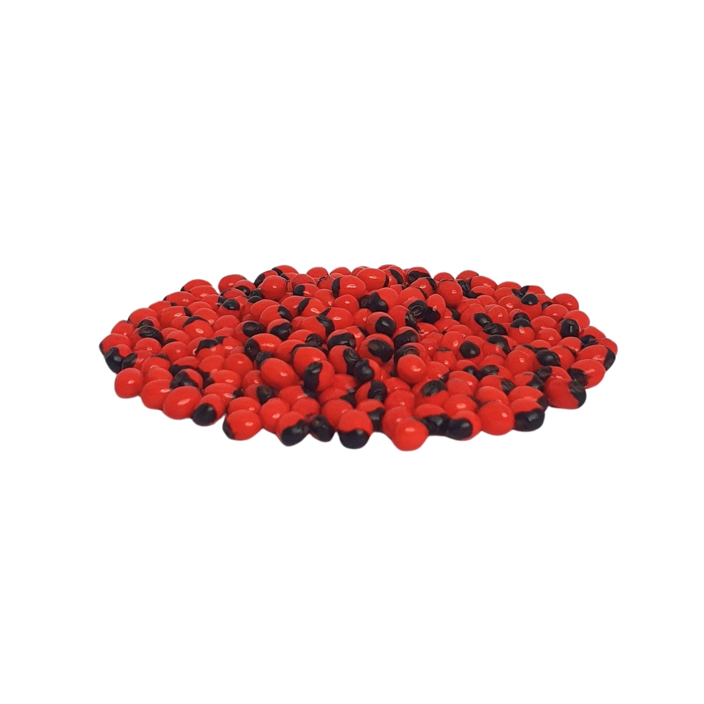 Lakpura® Samen von Olinda (marokkanischer Abrus)