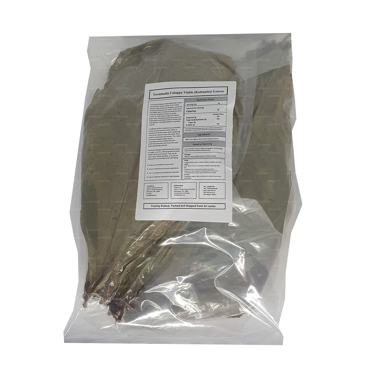 Lakpura Dehydriert (Kottan, Kottamba, indische Mandel) Terminalia catappa 100 Blätter (100 g)
