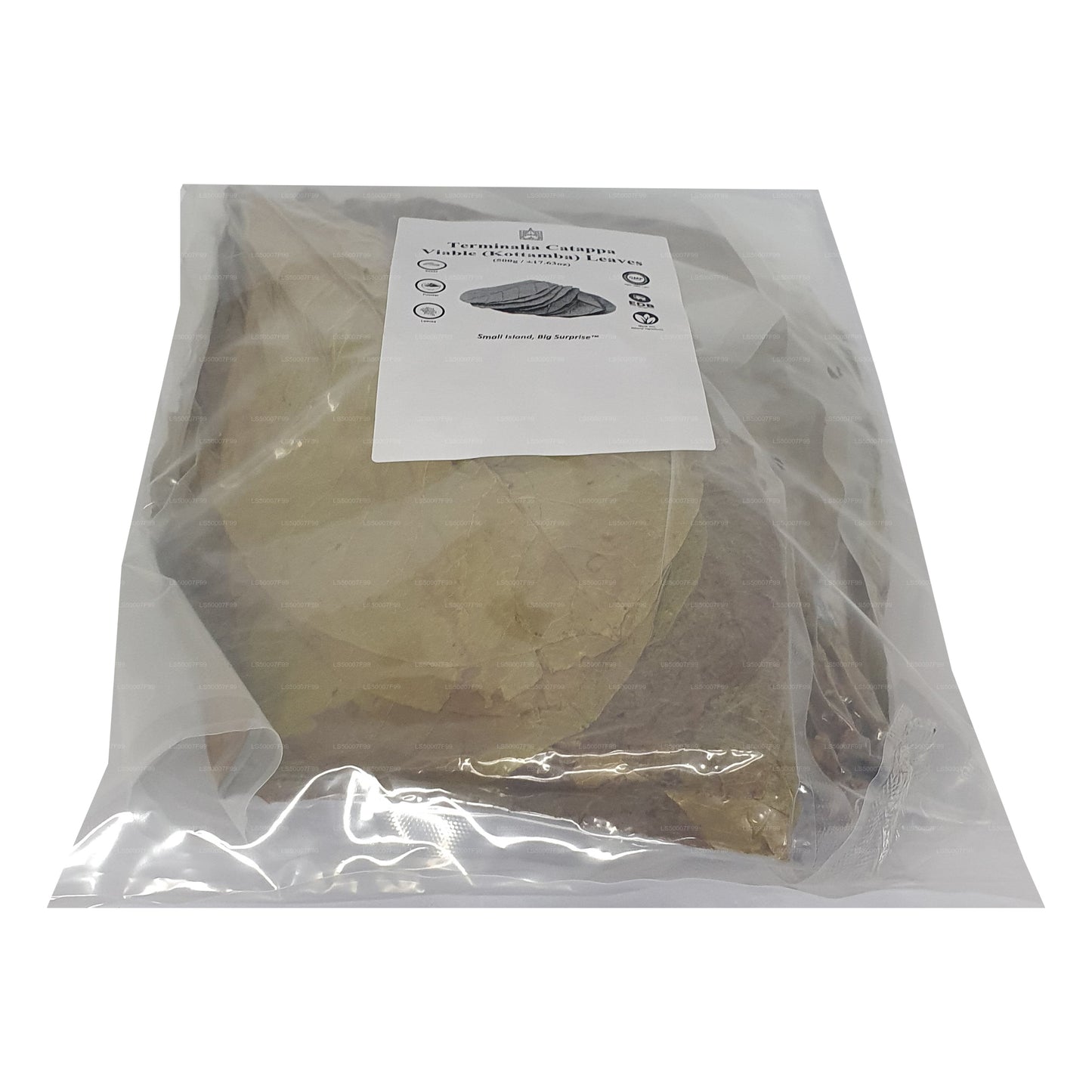 Lakpura Dehydriert (Kottan, Kottamba, indische Mandel) Terminalia catappa 100 Blätter (100 g)