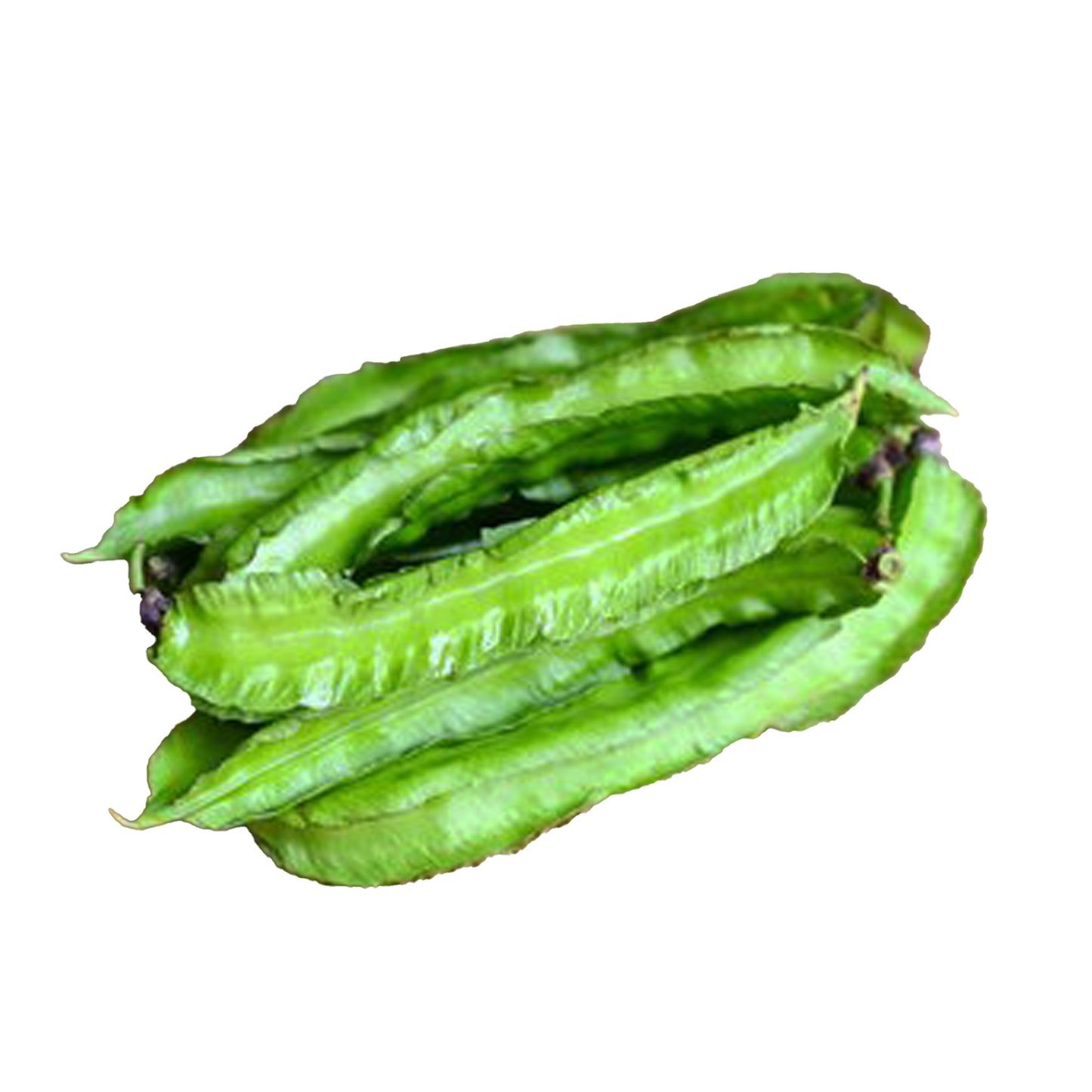 Lakpura-geflügelte Bohnen