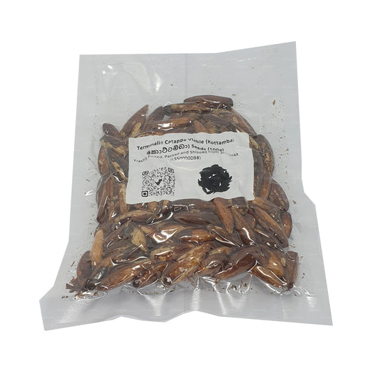 Lakpura® Keimfähige Terminalia Catappa (Kottamba)-Samen