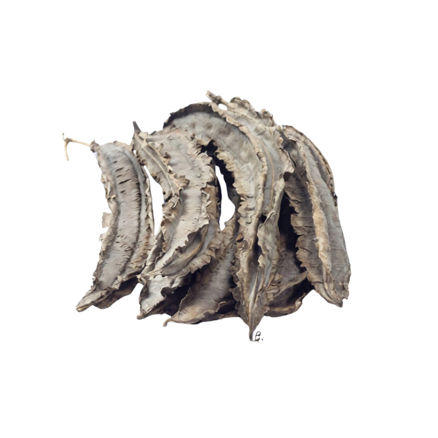 Lakpura-geflügelte Bohnen