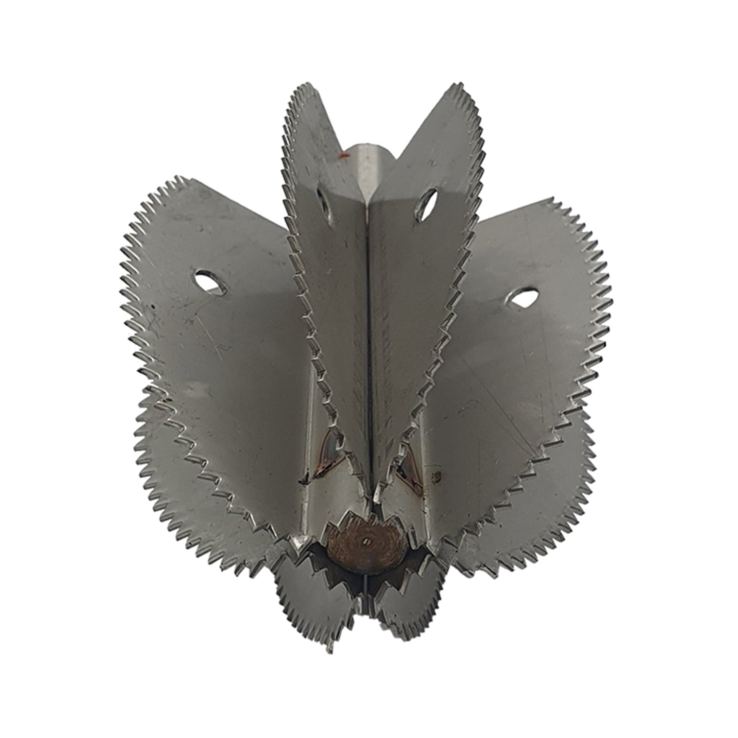 Odiris Kokosnuss-Schaber Ersatzklinge (5,5 cm)