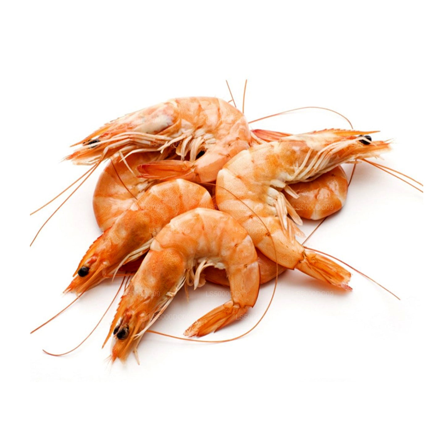 Lakpura Getrocknete Garnelen „“ (200g)