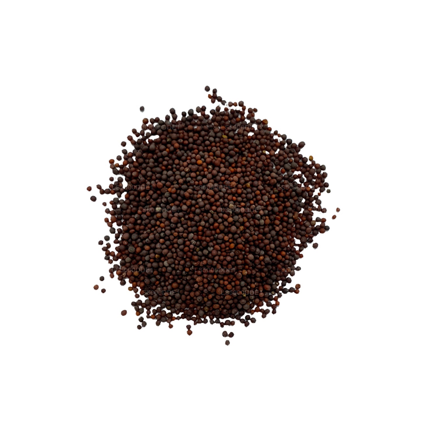 Lakpura Senfkörner (100 g)