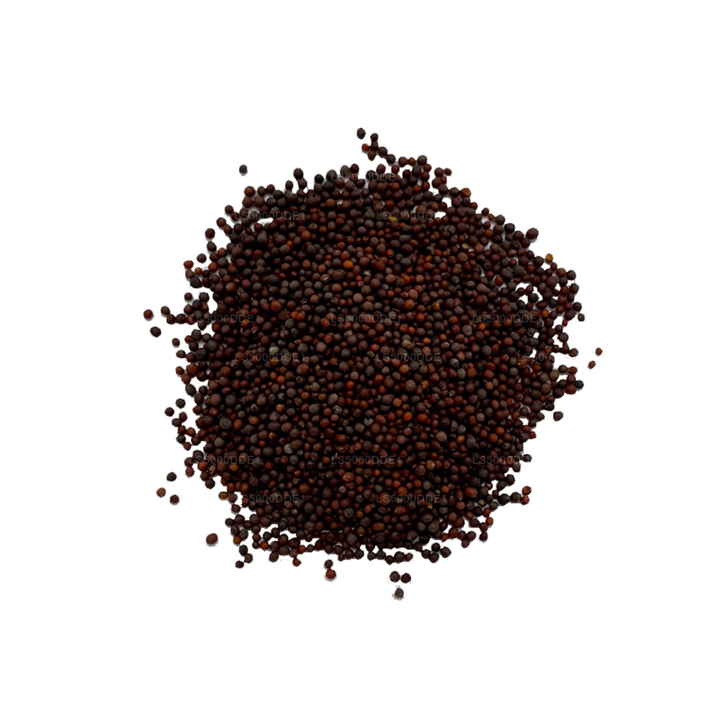Lakpura Senfkörner (100 g)