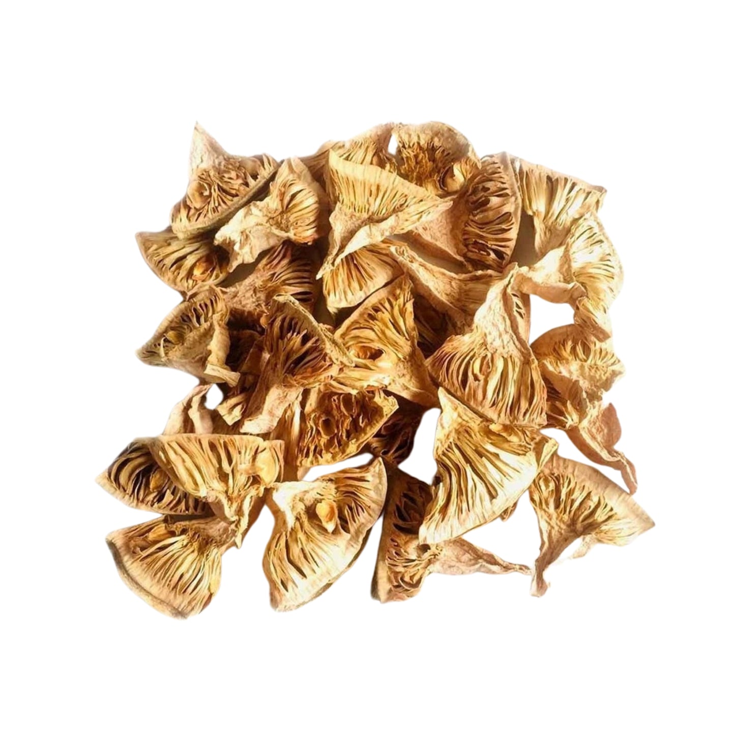 Lakpura Dehydrierte Baby-Jackfruit-Scheiben
