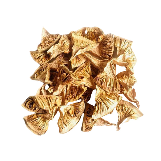 Lakpura Dehydrierte Baby-Jackfruit-Scheiben