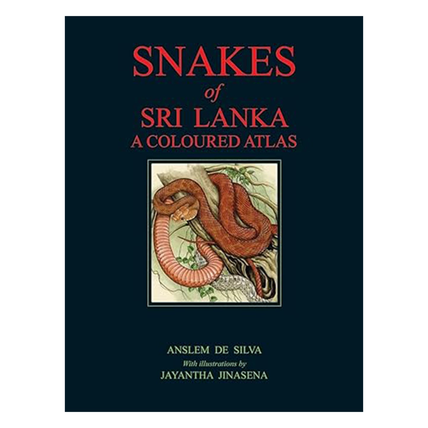Schlangen von Sri Lanka
