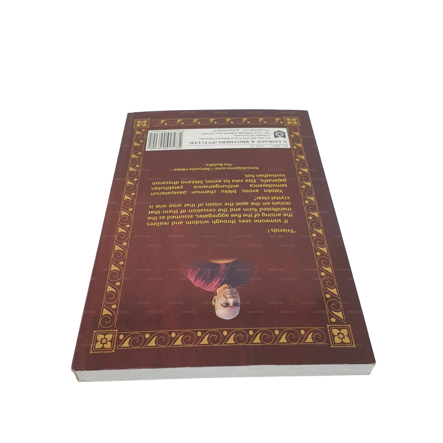 Höheres Erwachen (Wisdom Review Series-10) 