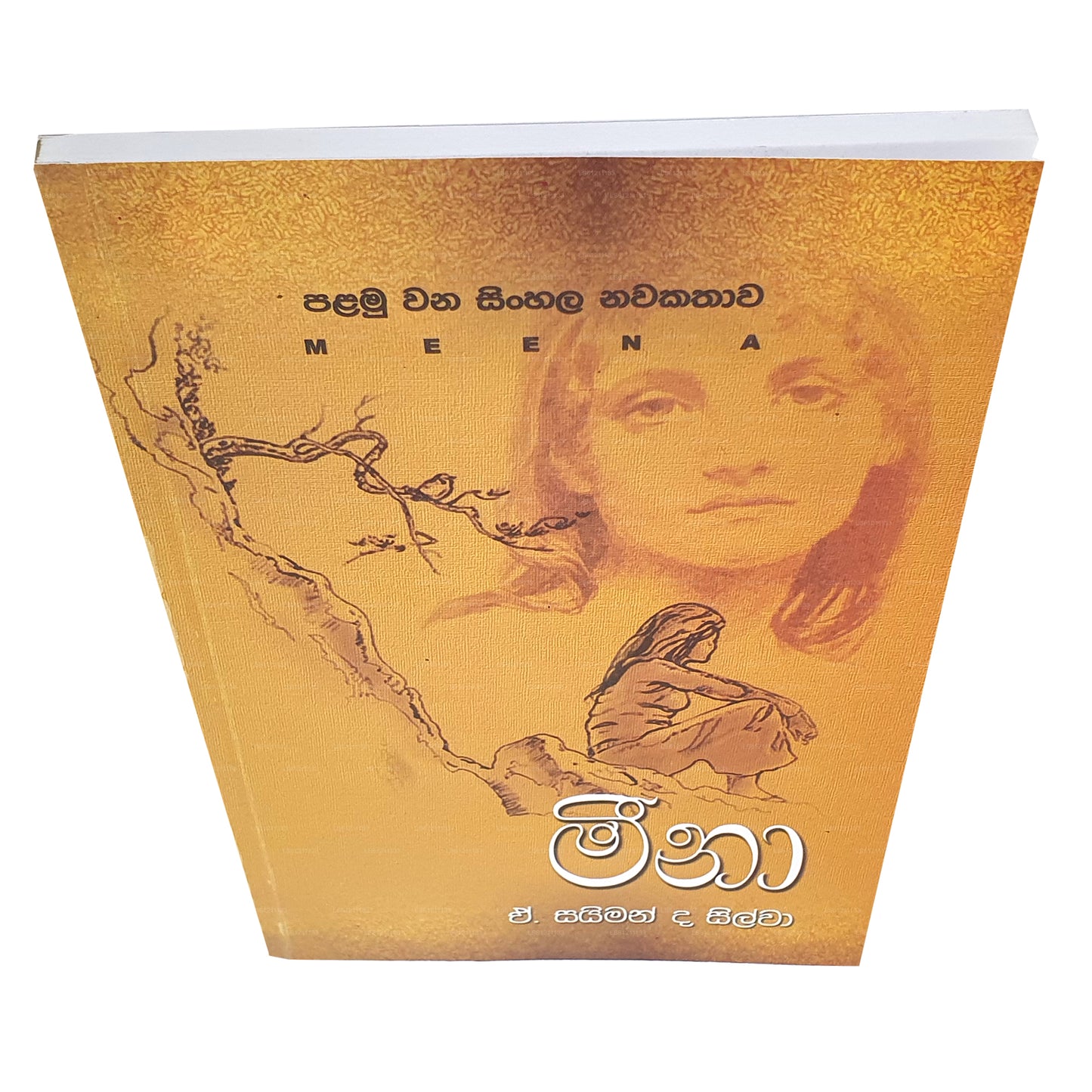 Meena – Erster singhalesischer Roman