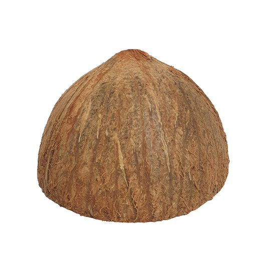Lakpura® Kokosnussschalenhälften