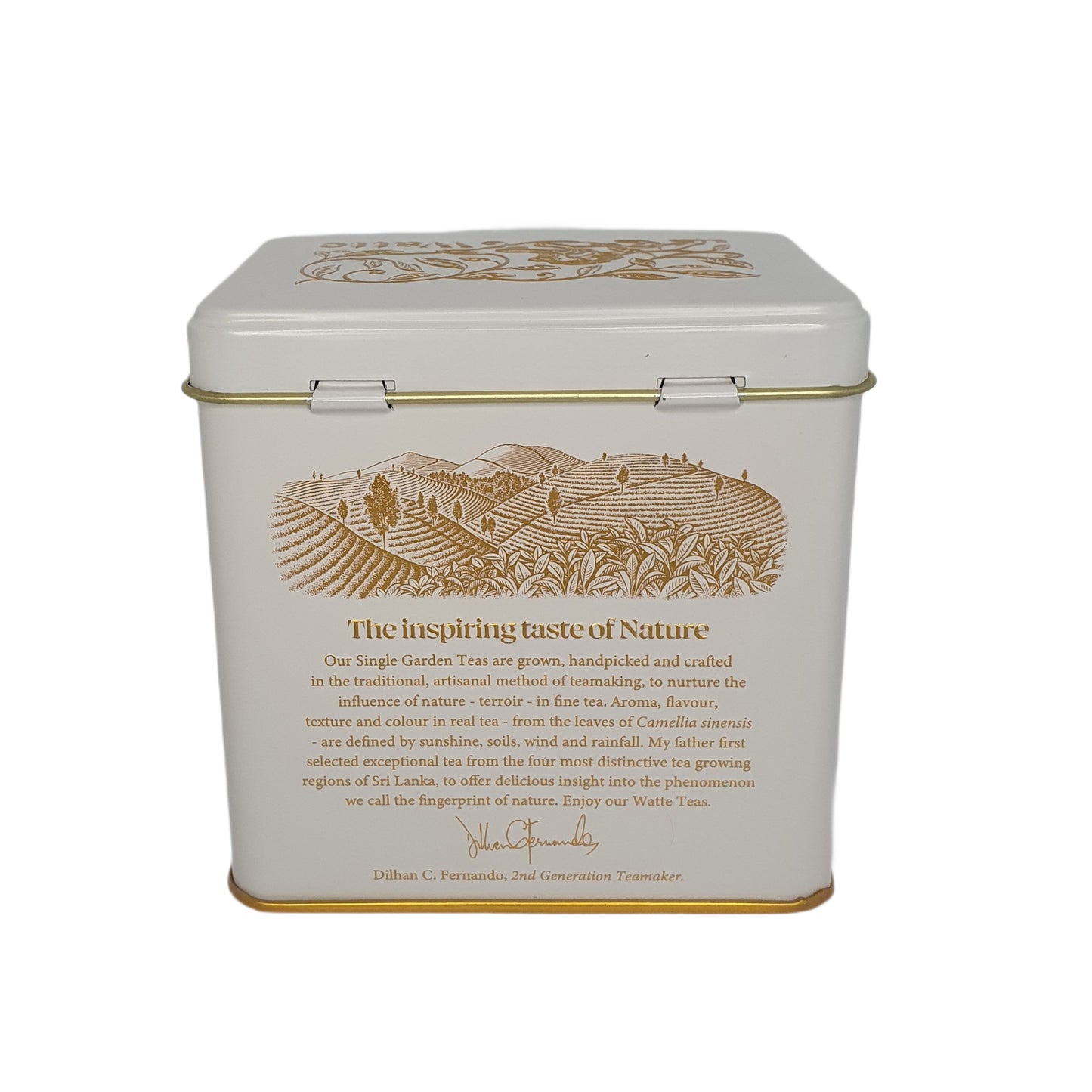 Dilmah Meda Watte Loseblatt-Tee (125 g)