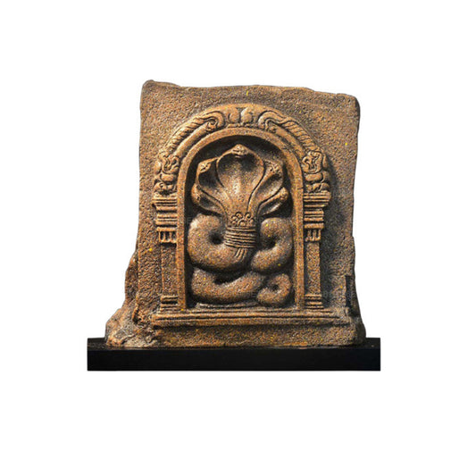 NHRC Five Hooded Cobra – Anuradhapura