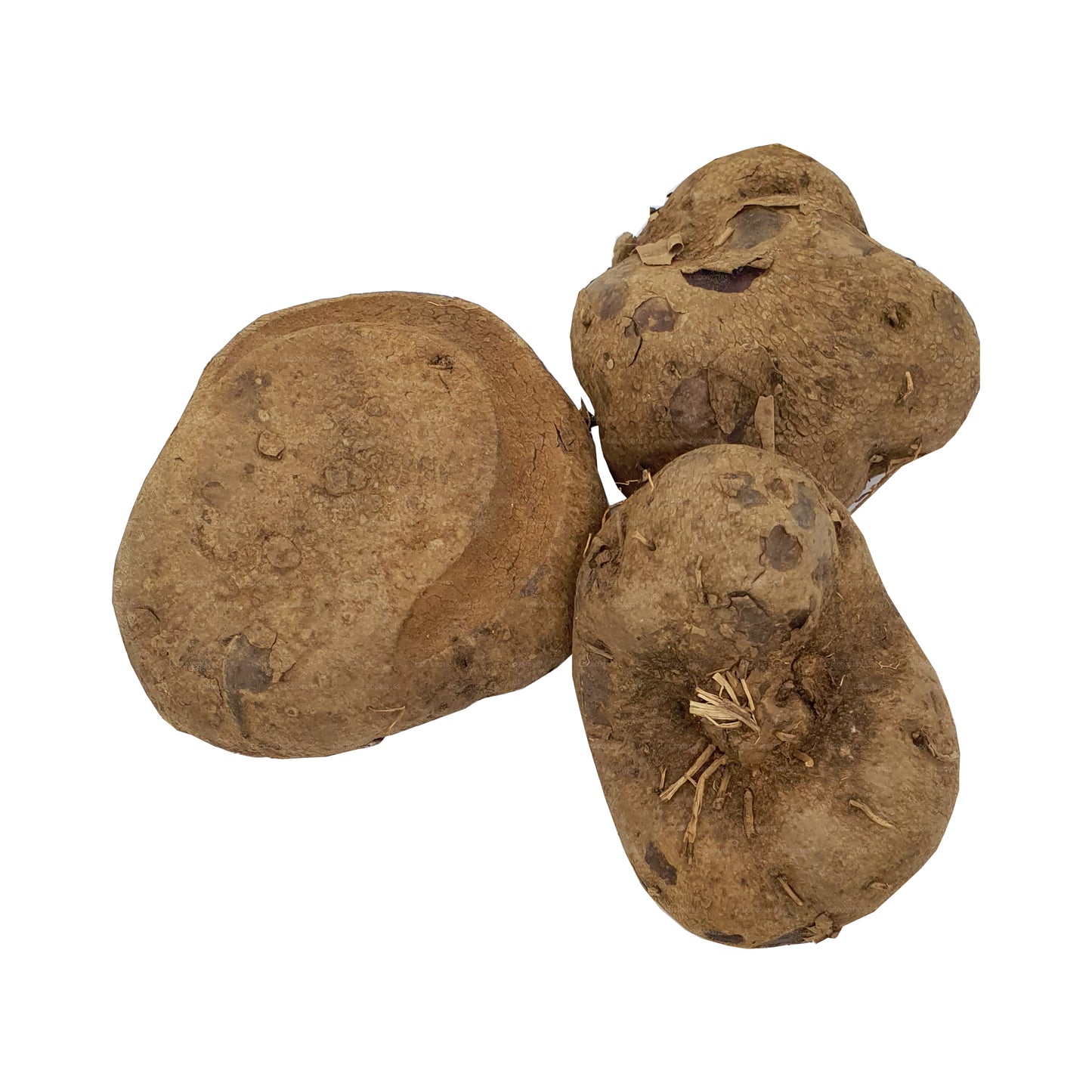 Lakpura® Dandila – Lila Yamswurzel – Dandila Ala