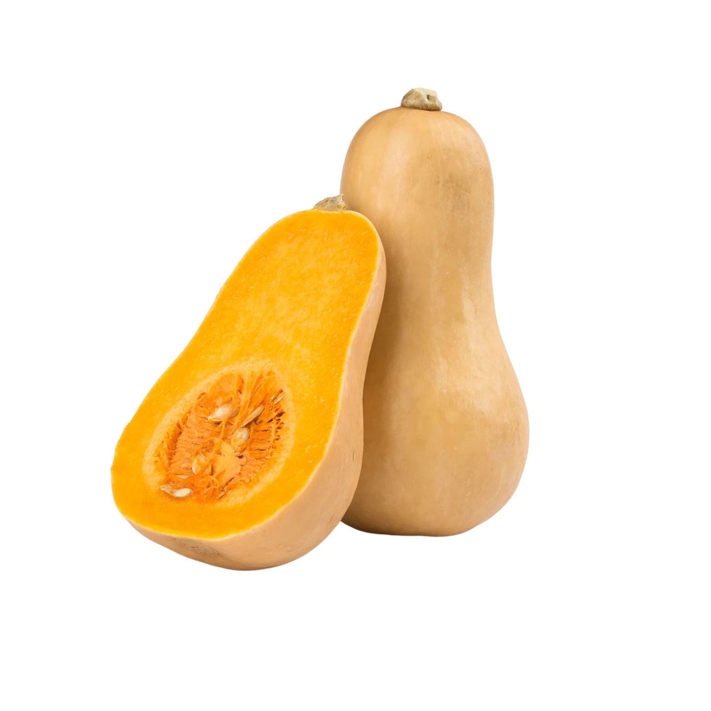 Lakpura-Butternusskürbis-Kürbis – Batana