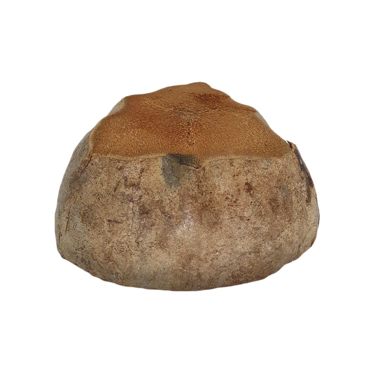 Bivenro Blumentopf, natürliches Kokosnuss-Design, freie Größe