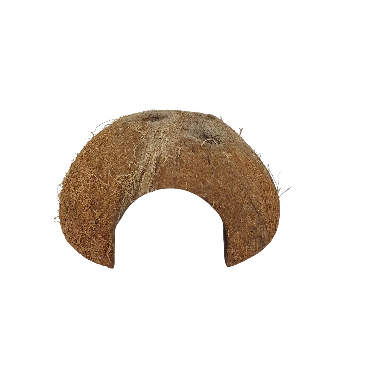 Bivenro Natural 1/2 Kokosnussschalenhöhle (freie Größe)