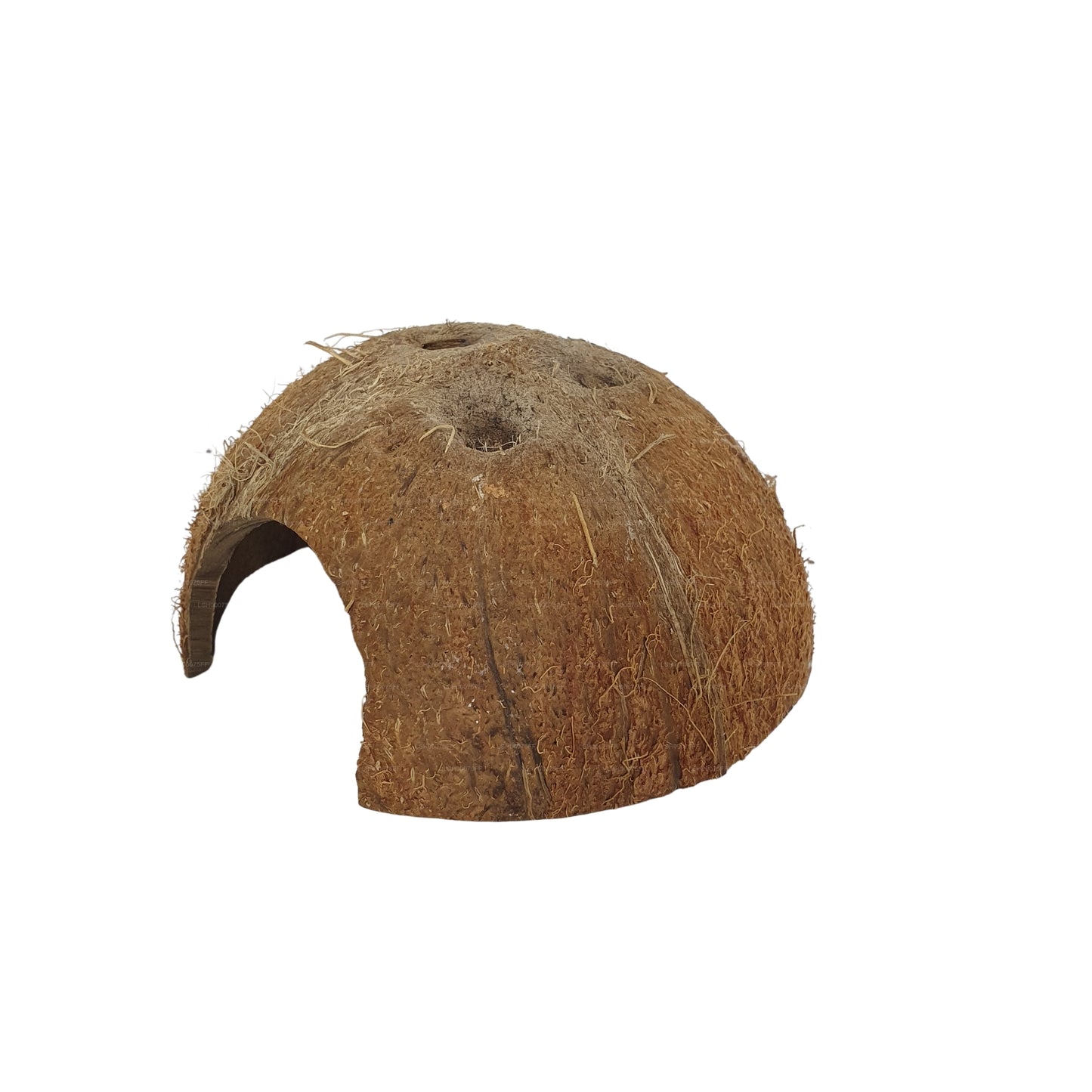 Bivenro Natural 1/2 Kokosnussschalenhöhle (freie Größe)