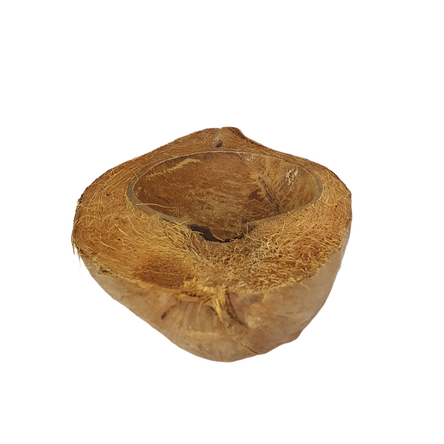 Bivenro Natural Coconut Pet Bowl Design (Free Size)