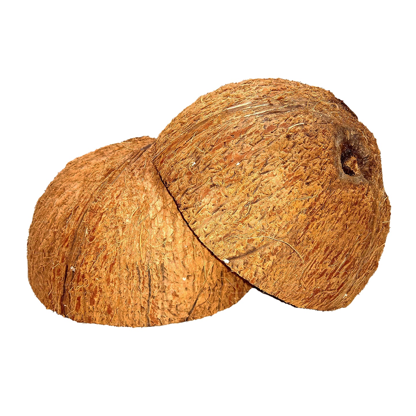 Kokosnussschalenhälften (2 Stück)