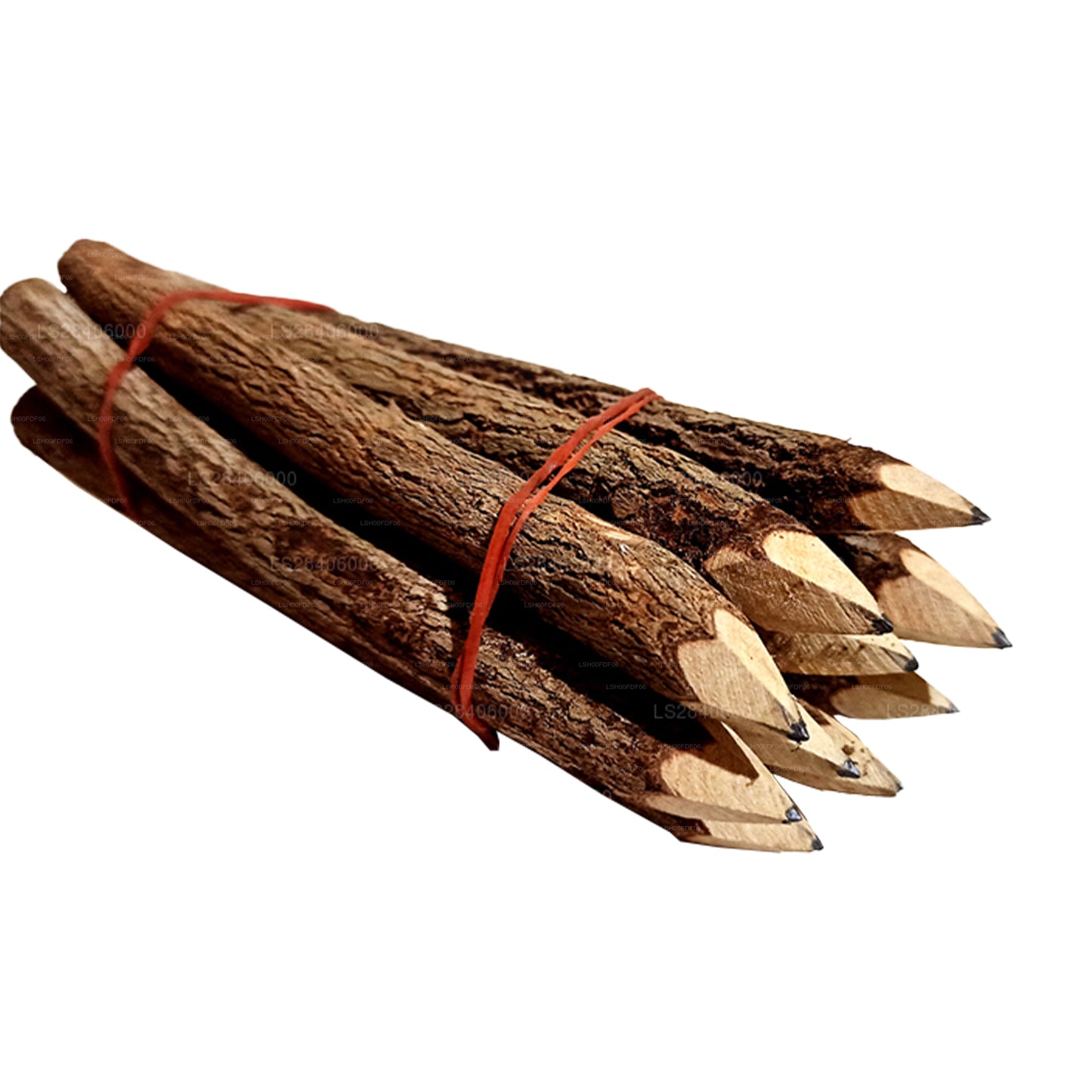 Lakpura Tree Branch Bleistiftset