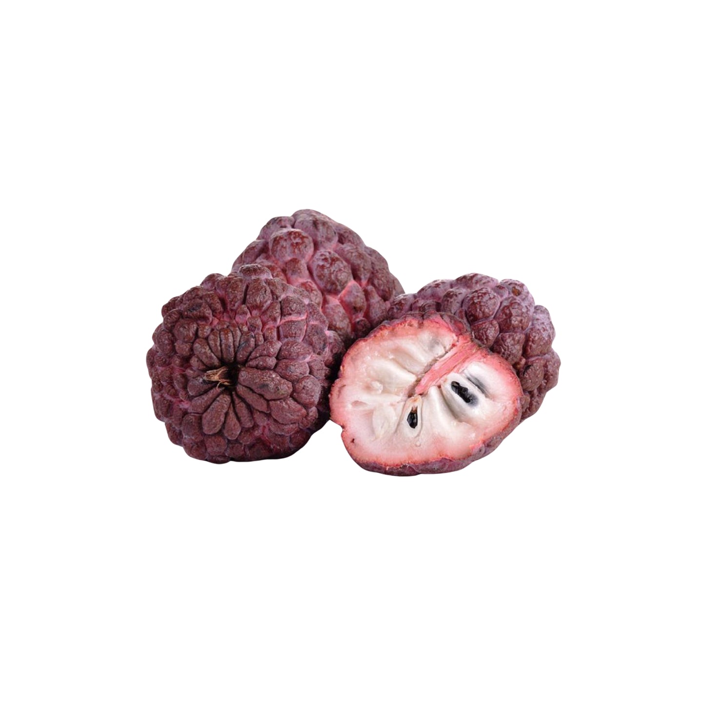 Lakpura Roter Zimtapfel (Red Seeni Anodha) Obstpflanze