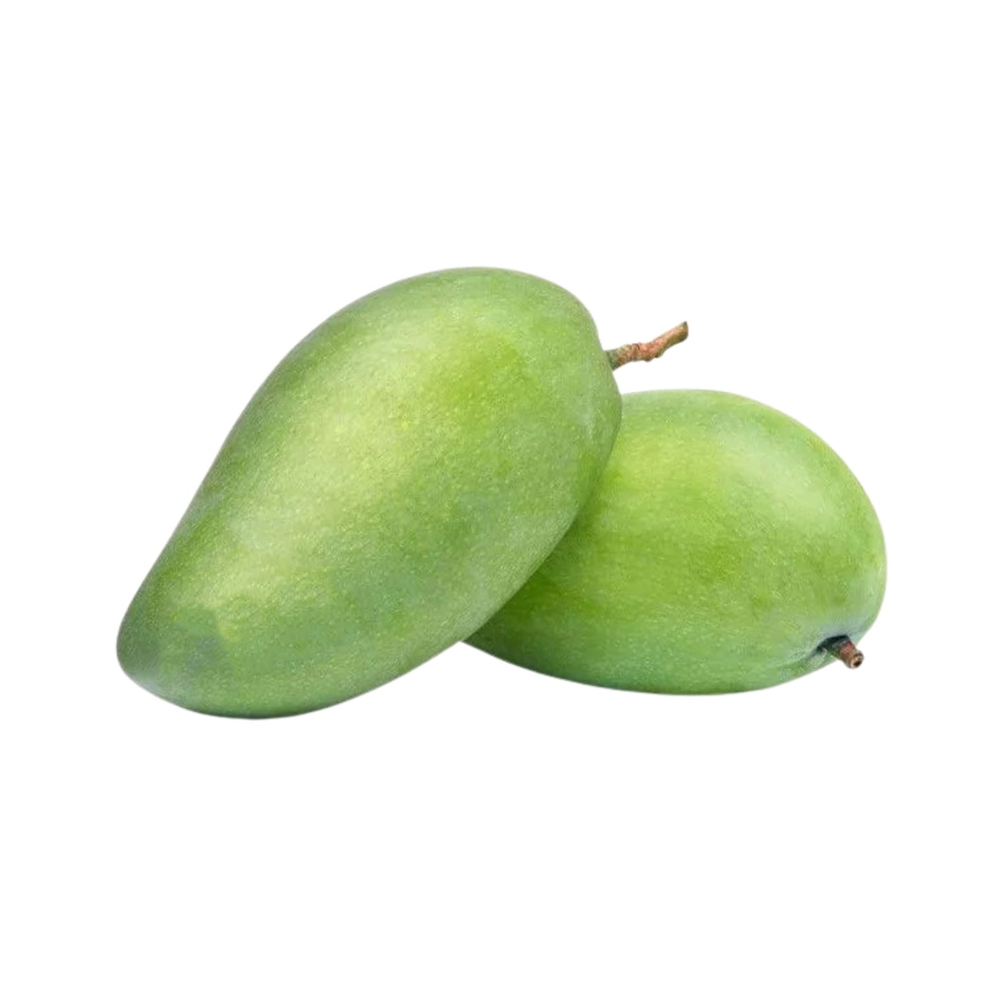 Lakpura® Vellaikolumban Mangopflanze