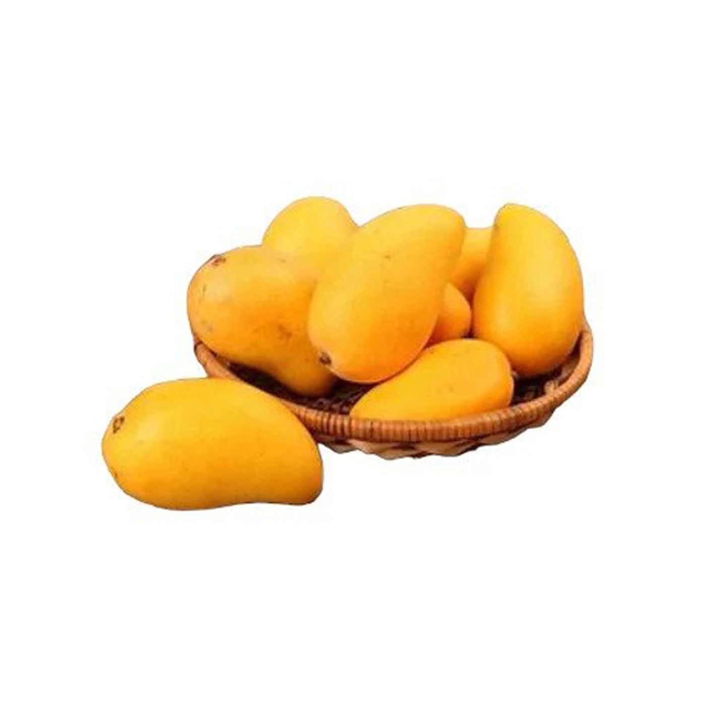 Lakpura Thai Gira Mango veredelte Pflanze
