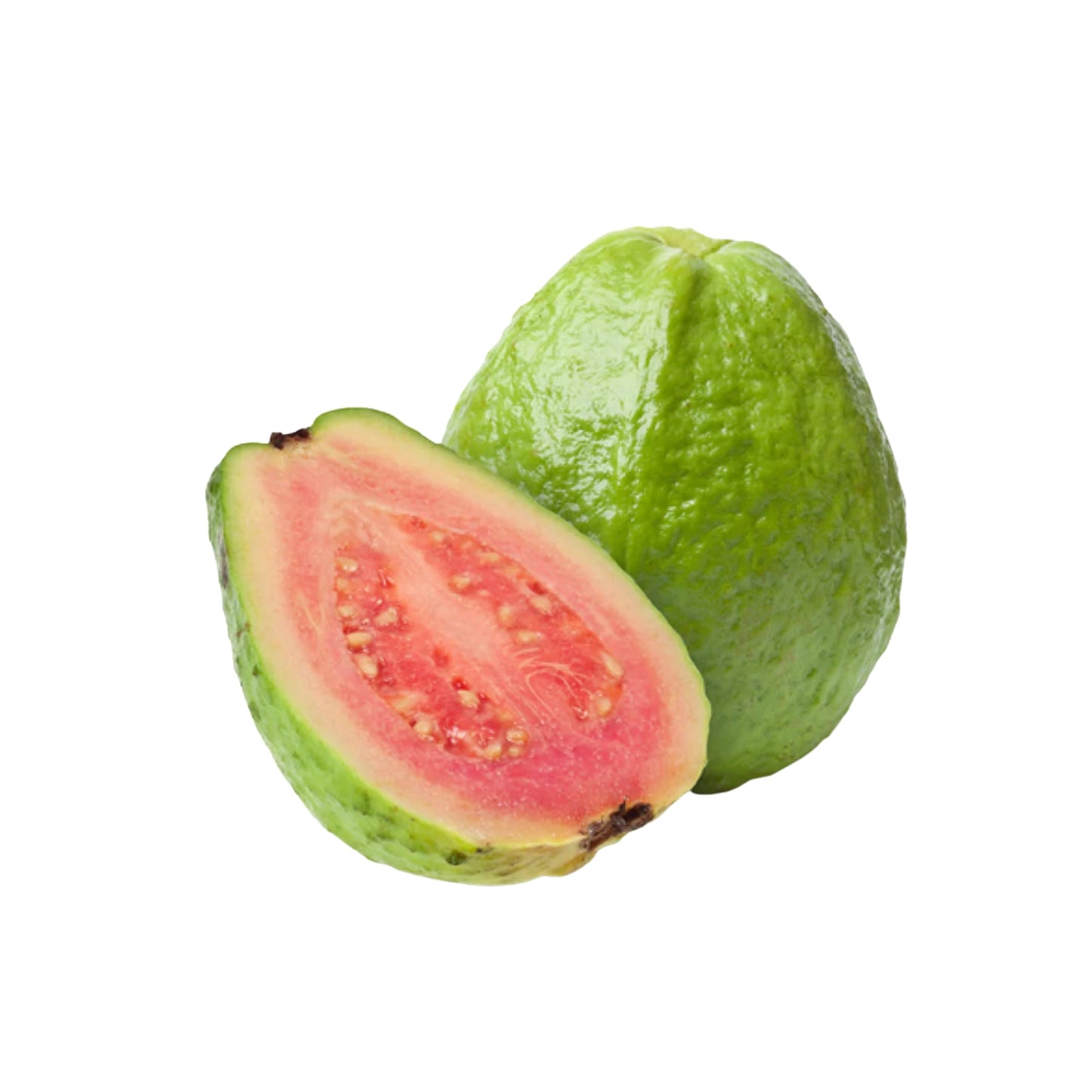 Lakpura Ceylon Rote Guave-Fruchtpflanze