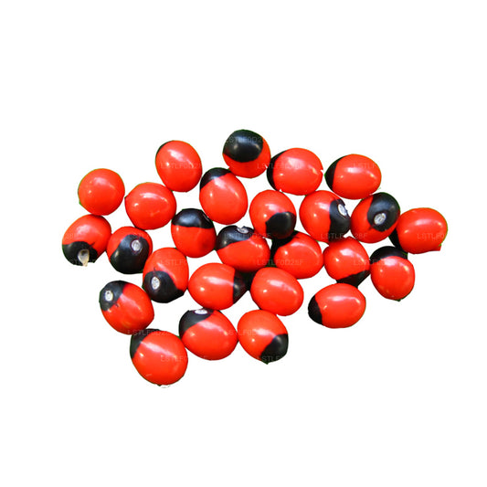 Lakpura® Samen von Olinda (marokkanischer Abrus)