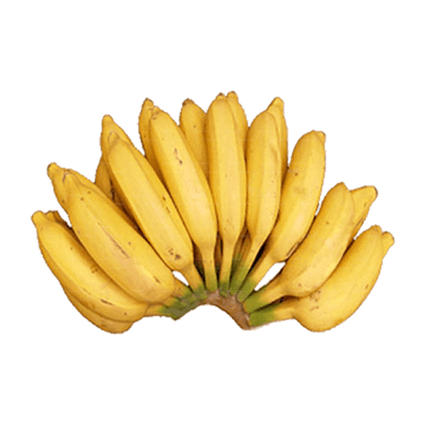 Seeni-Banane (Seeni Kesel)