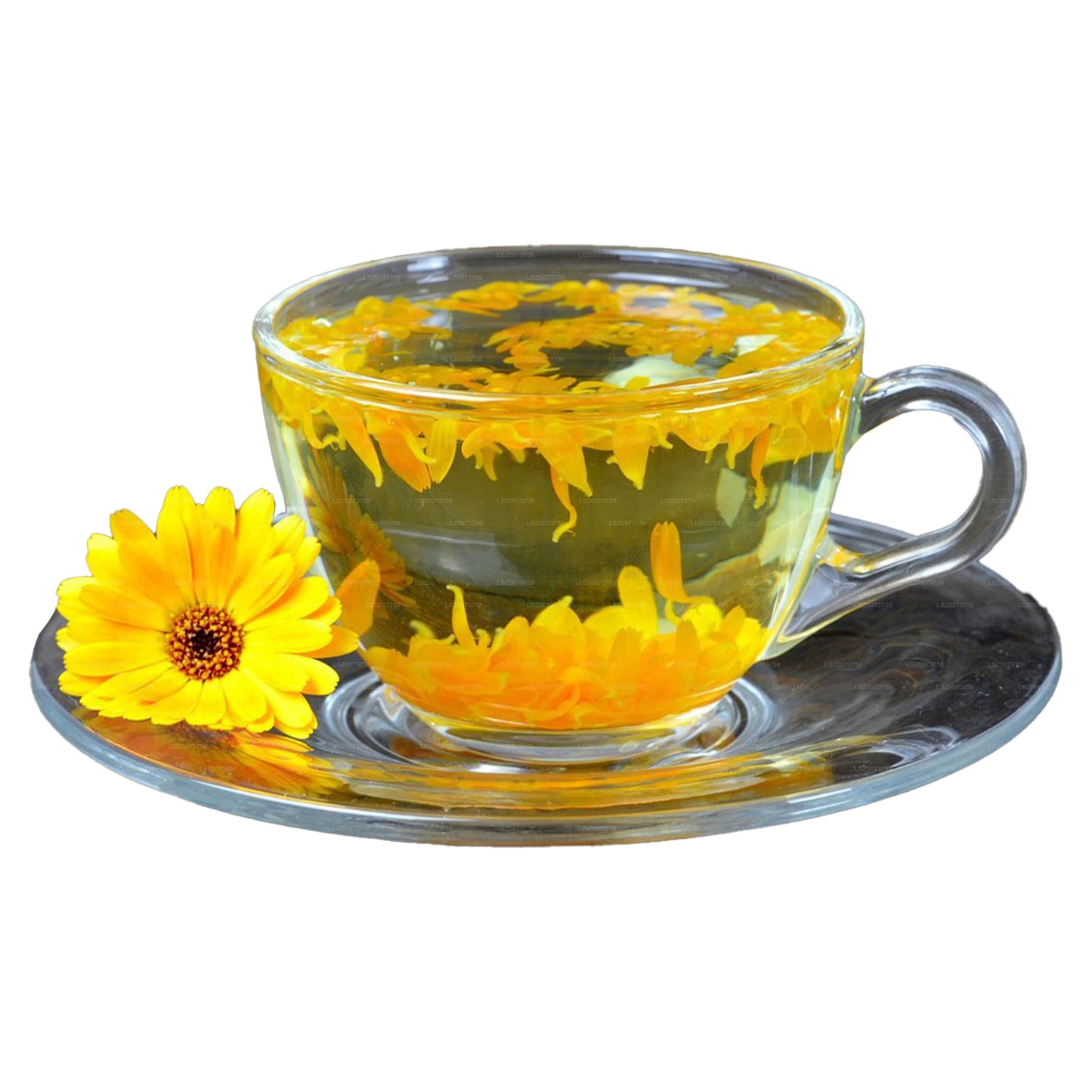 Calendula-Trockenblütentee