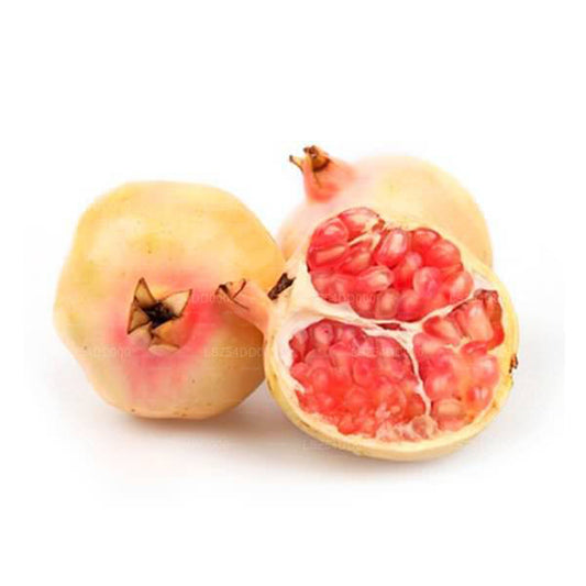 Lakpura Granatapfel (Delum) Rosa