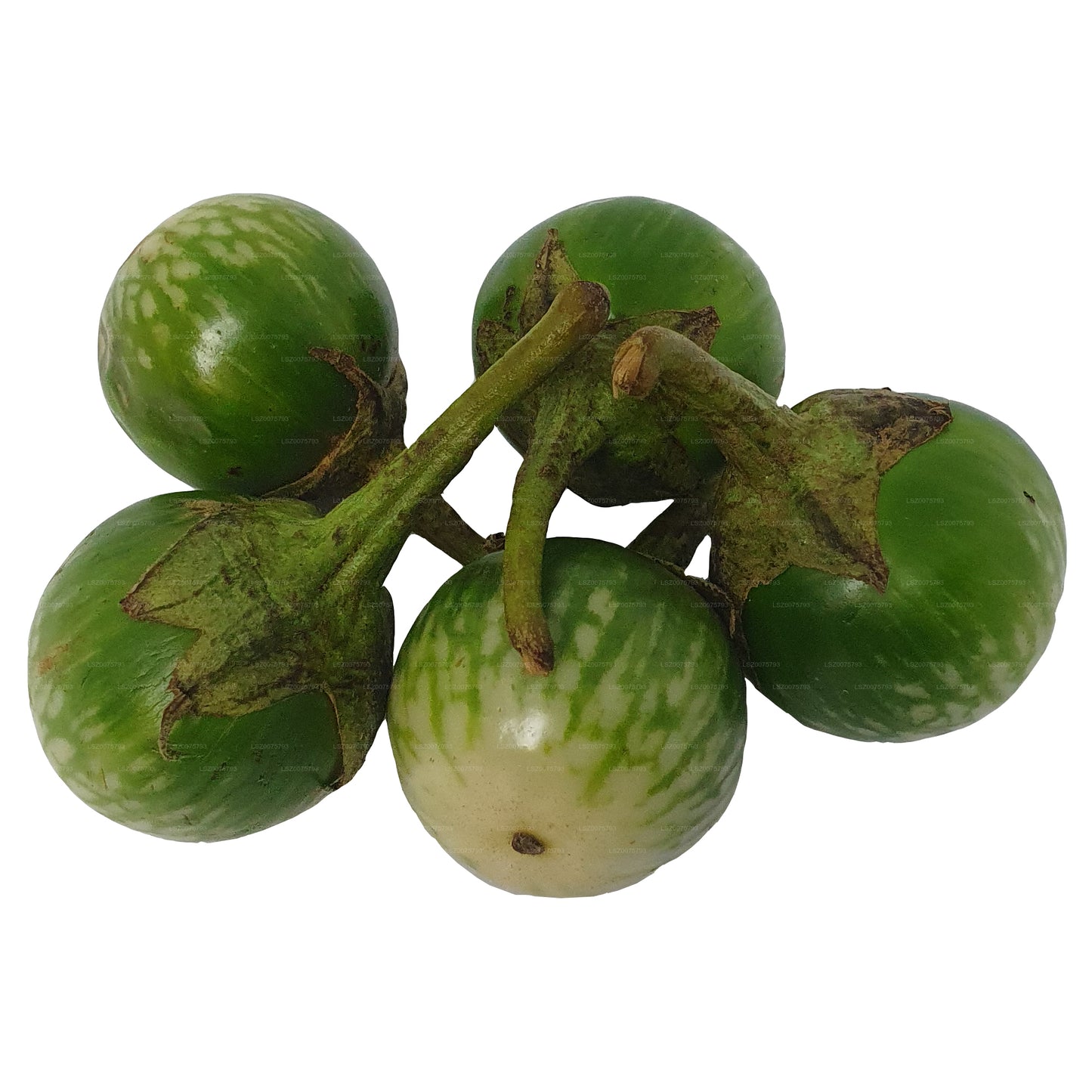 Lakpura Thai Aubergine