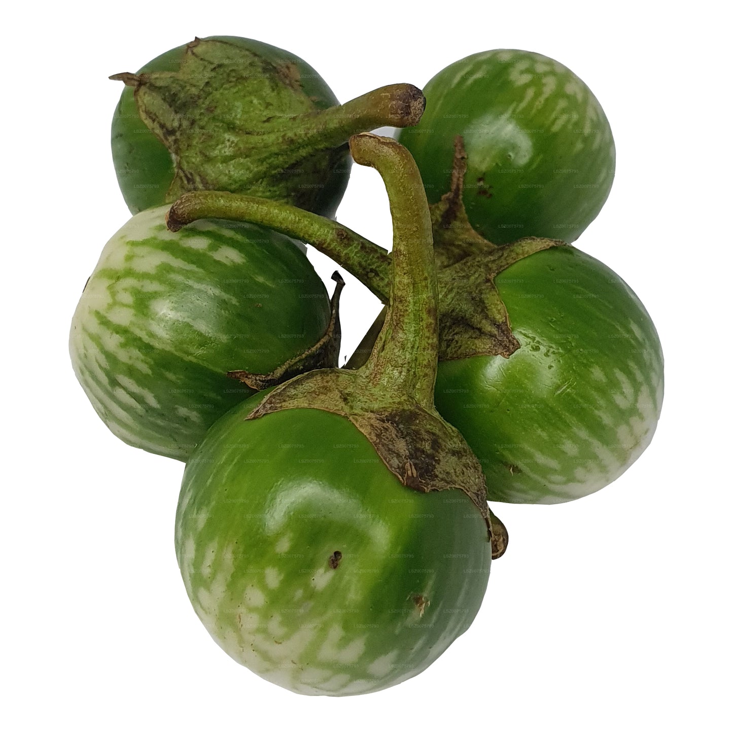 Lakpura Thai Aubergine