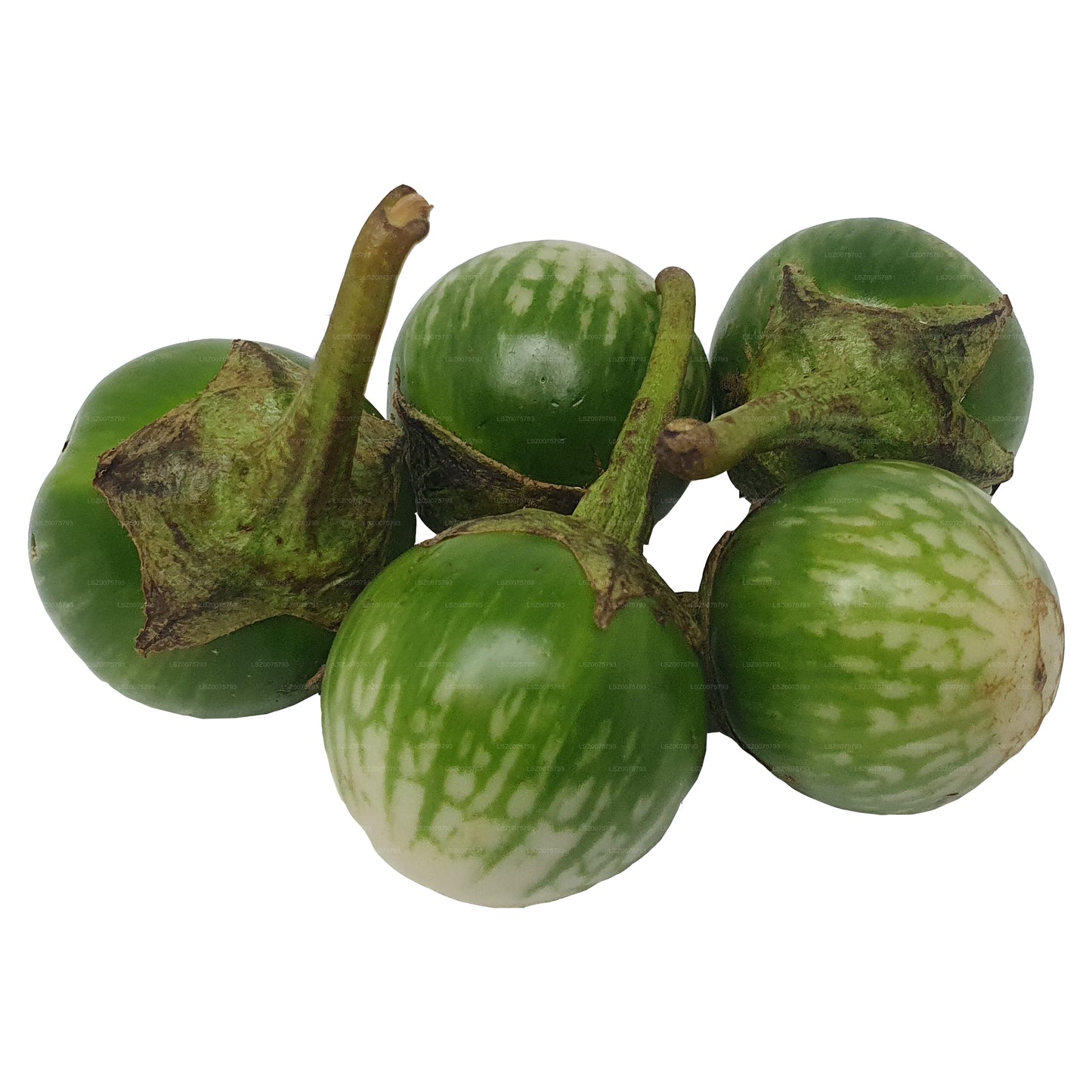 Lakpura Thai Aubergine