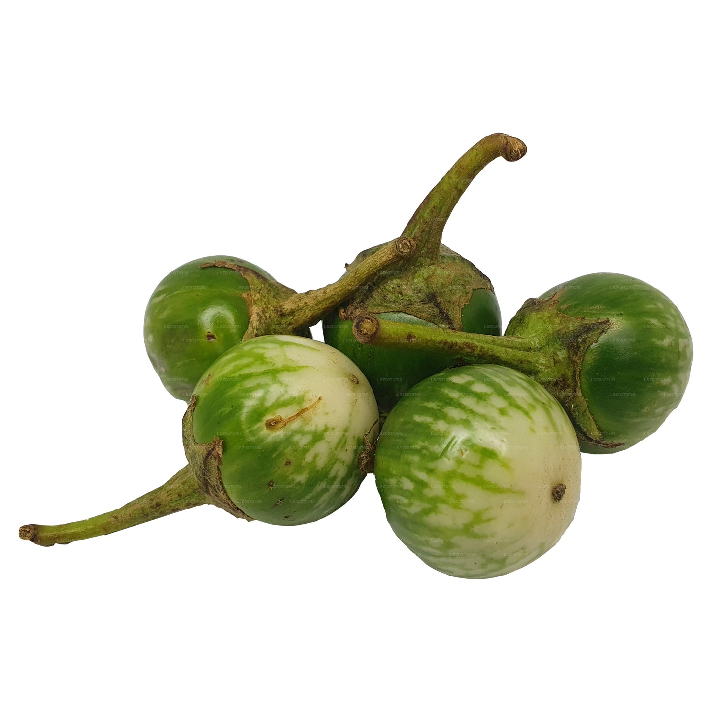 Lakpura Thai Aubergine