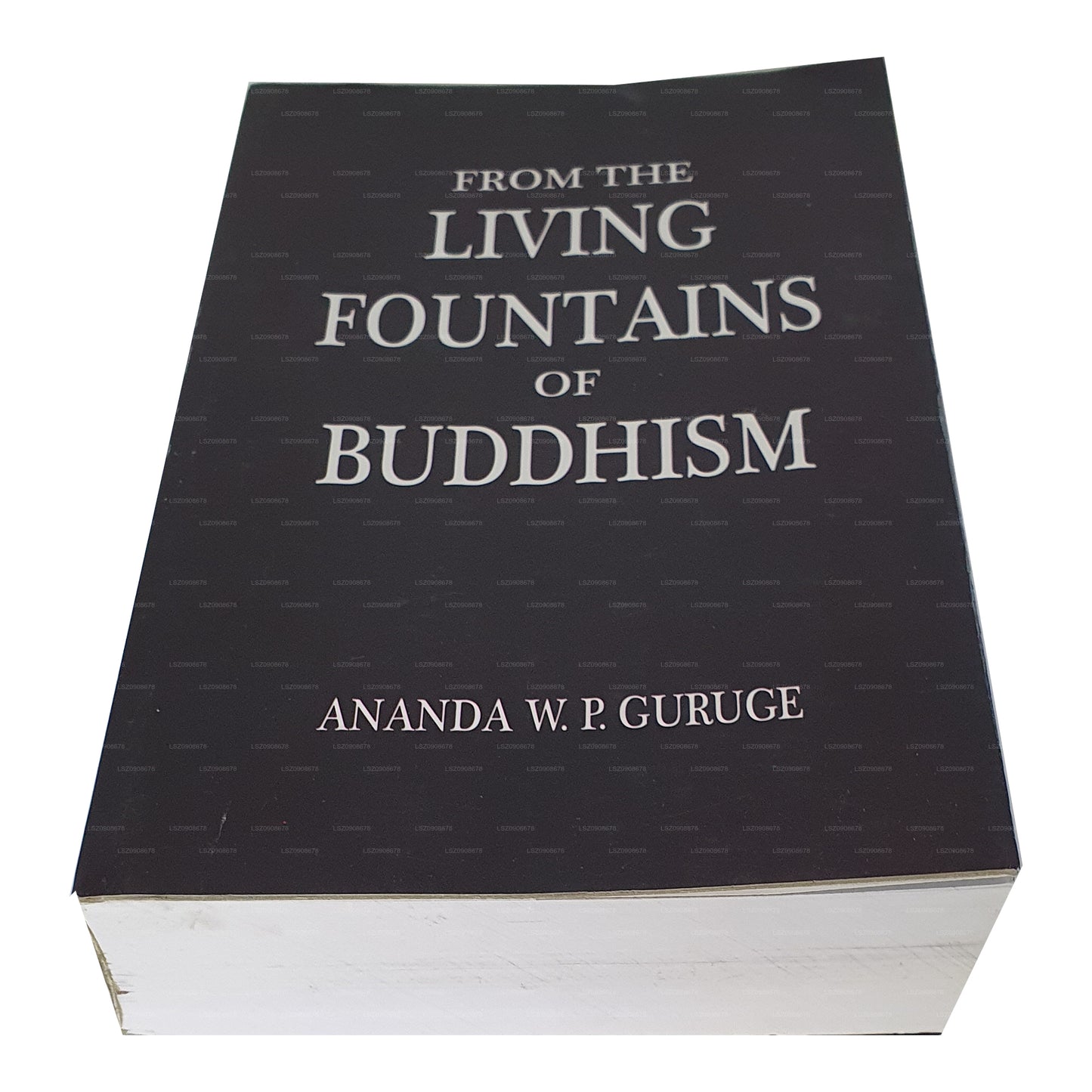 Aus den lebendigen Quellen des Buddhismus