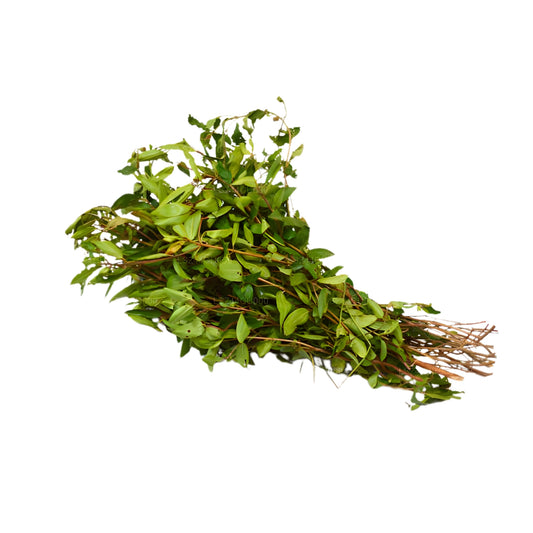 Bovitiya-Blätter (125 g)