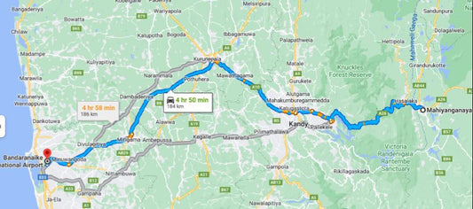 Privater Transfer von Mahiyanganaya City zum Flughafen Colombo (CMB)