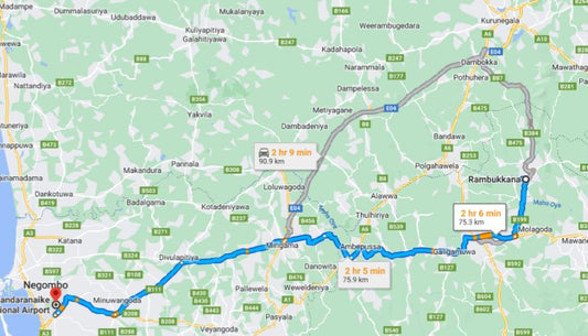 Privater Transfer von Rambukkana City zum Flughafen Colombo (CMB)