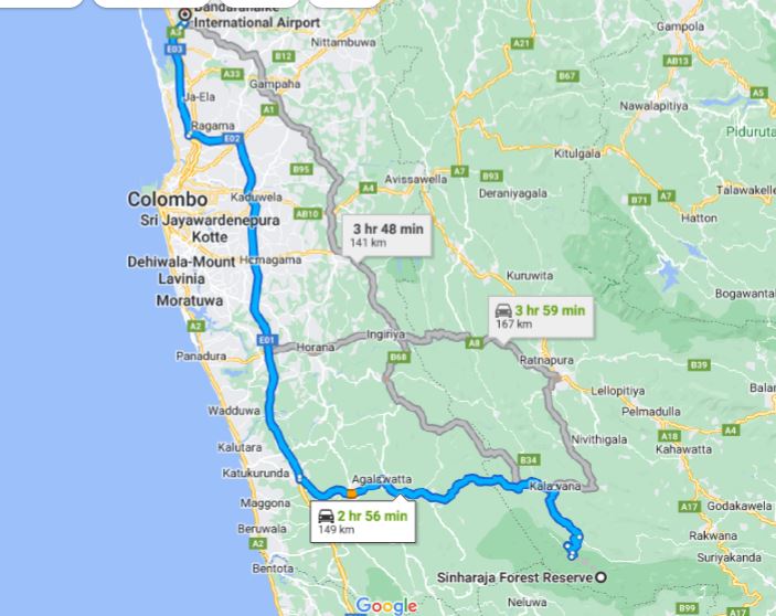 Privater Transfer von Sinharaja City zum Flughafen Colombo (CMB)