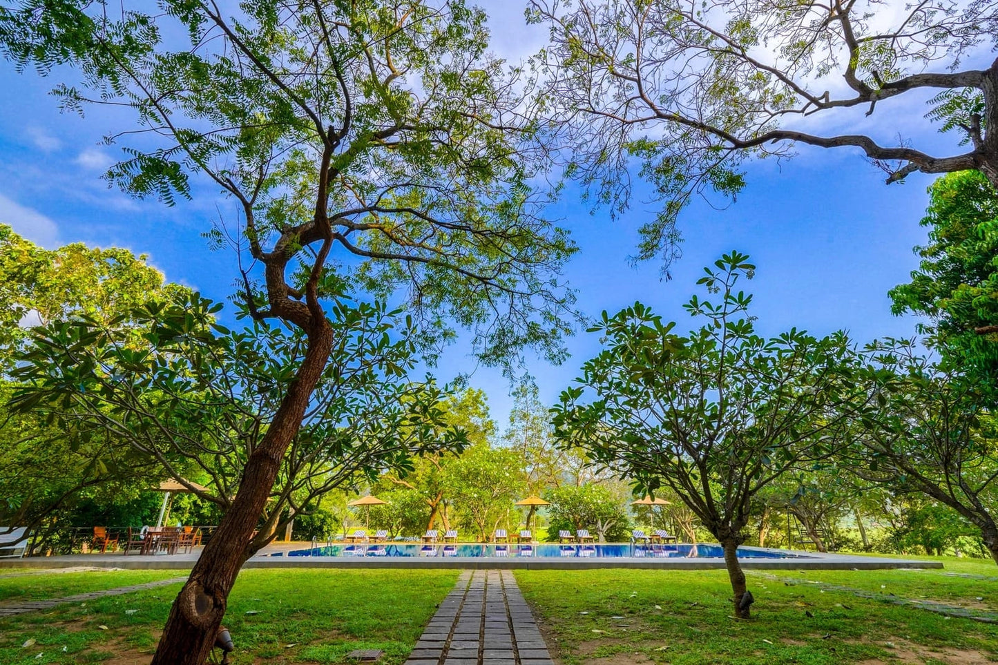 Lavendish Country Resort, Dambulla