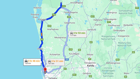 Privater Transfer von Wilpattu City zum Flughafen Colombo (CMB)