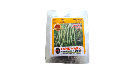 Samen der Lakpura-Langbohne (Paduru Maa).