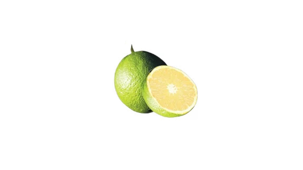 Lakpura Bibila Süßorangenpflanze
